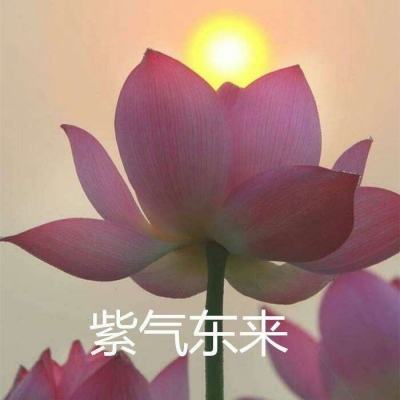 恶魔学园官方下载